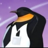 penguin491's main profile picture