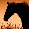 horsecore.'s main profile picture